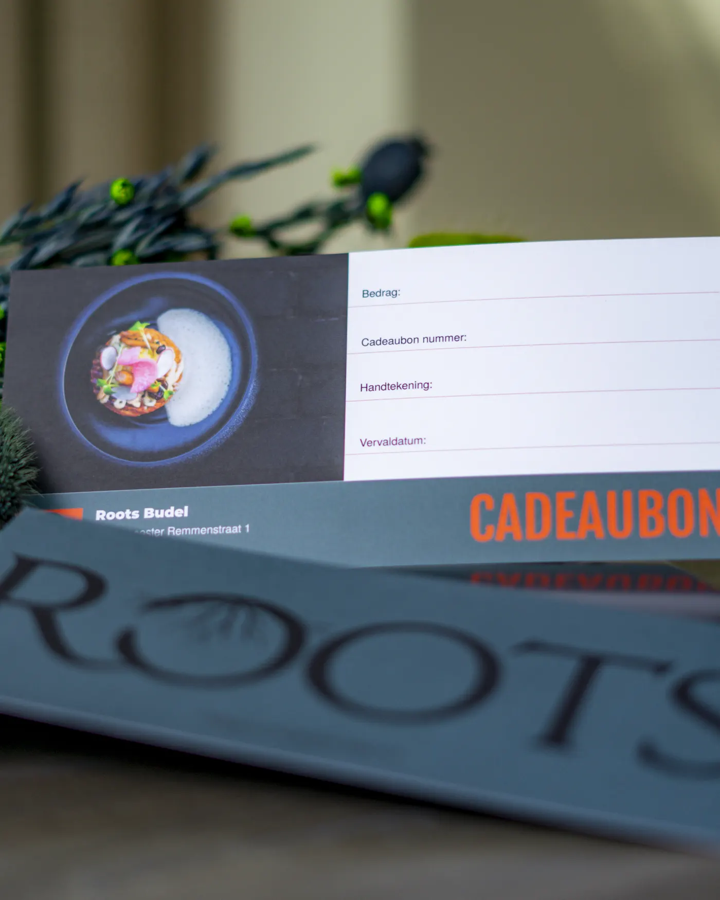Een cadeaubon van Roots, klaar om te geven